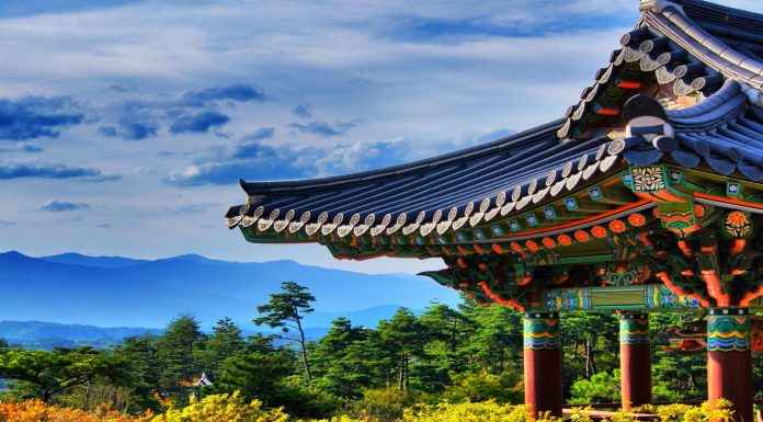 Dünyanın Öbür Ucundaki Kan Kardeşimiz; Kore