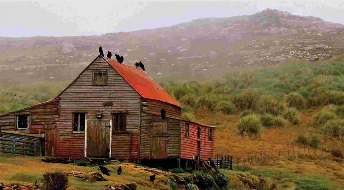 Falkland Adaları mı, Islas Malvinas mı?